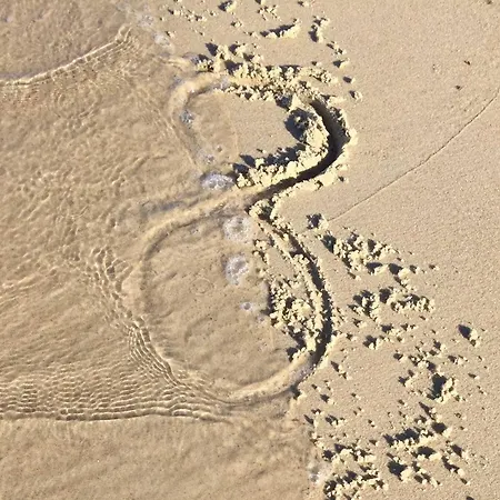 아파트 Parkresidenz Concordia, Nr 8 *